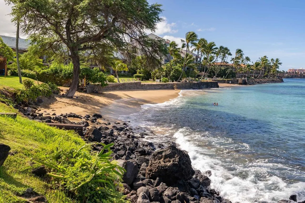 Apartment Kuleana 405 Oceanfront 1Bedroom Condo Kahana