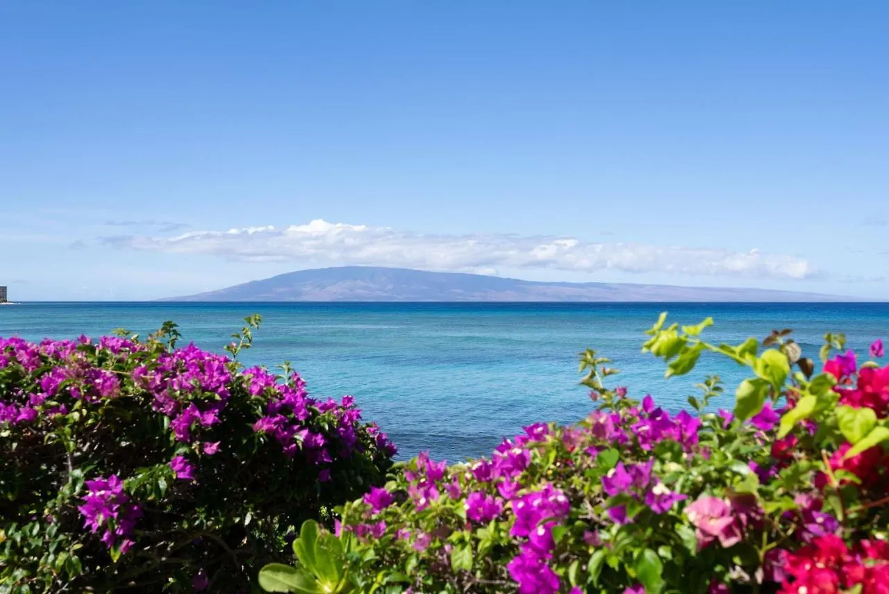 Apartment Kuleana 405 Oceanfront 1Bedroom Condo Kahana